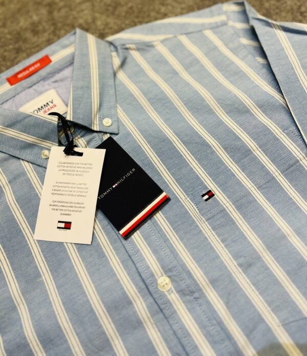 Tom Shirt